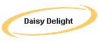 Daisy Delight