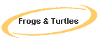 Frogs & Turtles